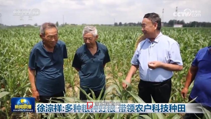 徐淙祥：多种粮种好粮 带领农户科技种田